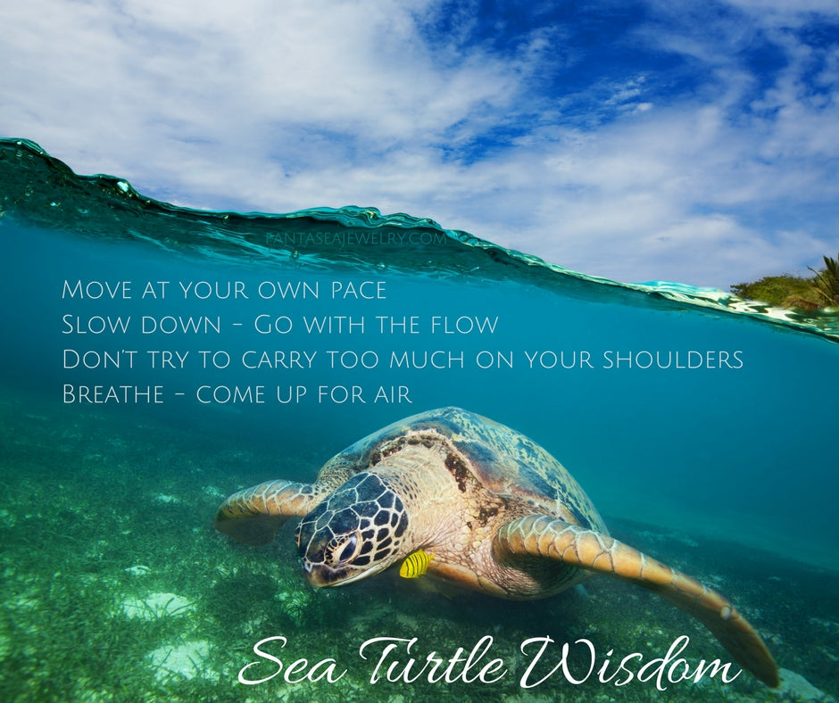 Lessons from the Sea Turtle – Sea Turtle Honu Wisdom
