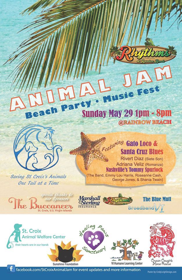 Animal Jam at Rainbow Beach on St. Croix  (and Animal Jam Jewelry!)