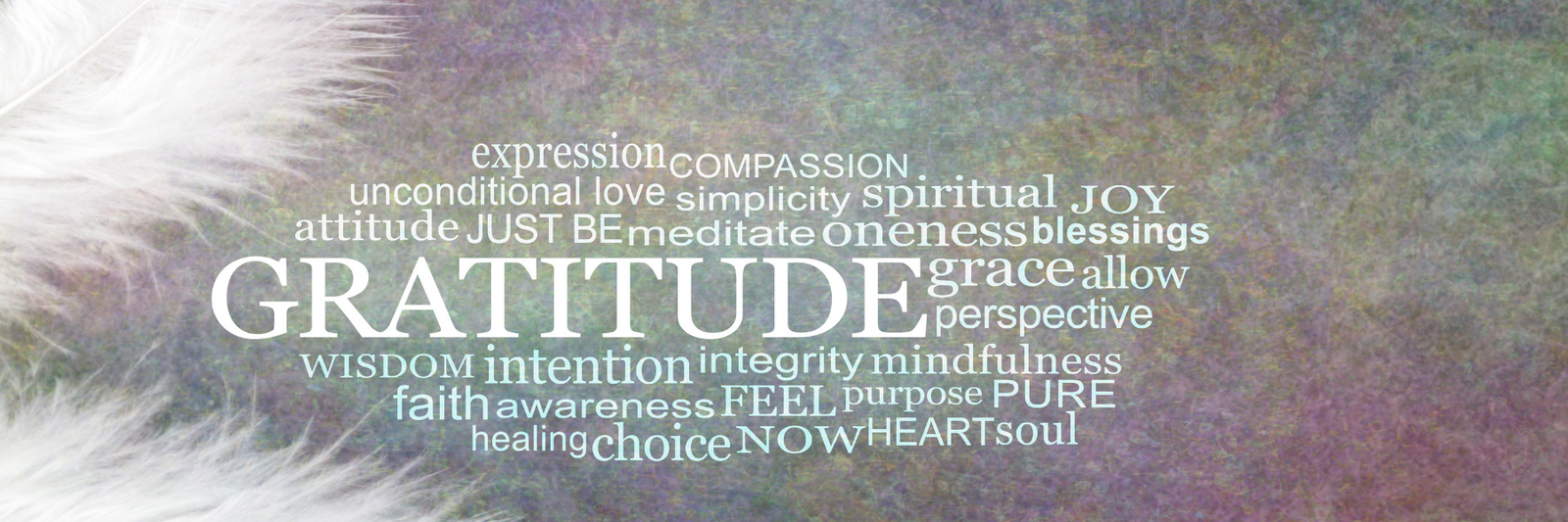 Gratitude Giveaway and Challenge!